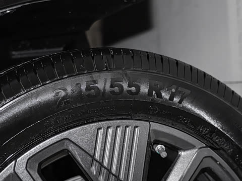 2025�� �Ŀ� �콢��