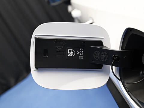 2026�� 255km ������