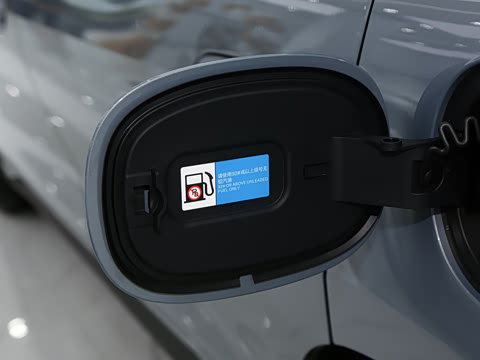 2026�� DM-i 230KM��Խ��