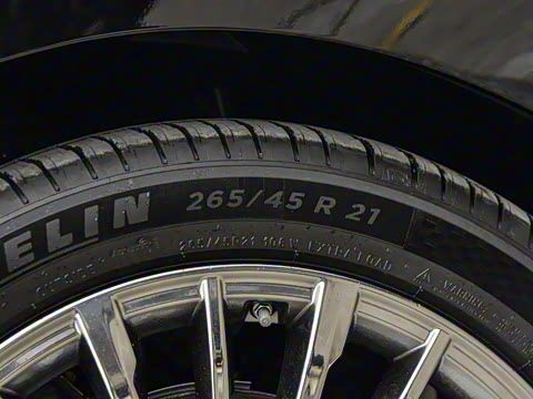 2025�� �Ŀ� 350 Max���������״��