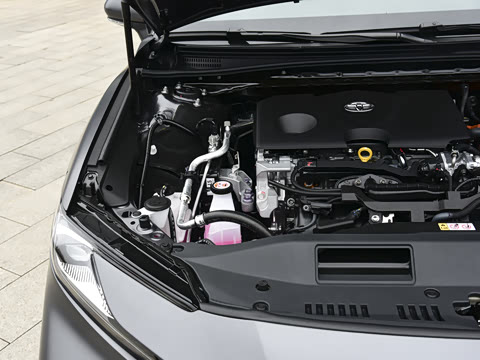 2026�� ˫�� 2.0HSE ��԰�