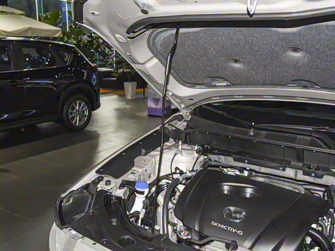 2025�� 2.0L �Զ�����������