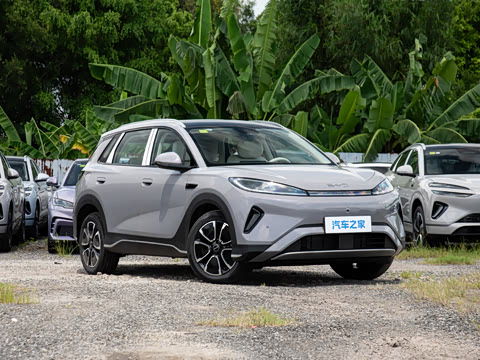 2026�� DM-i 220�캽��