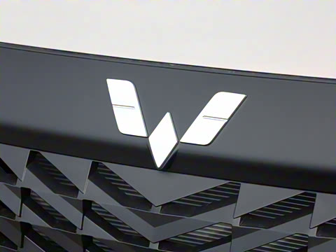 2025�� 1.5T 6MT ������