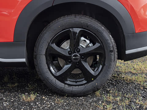 2026�� DM-i 220������