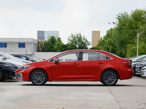 2024�� ���ܵ��˫�� 2.0L ������