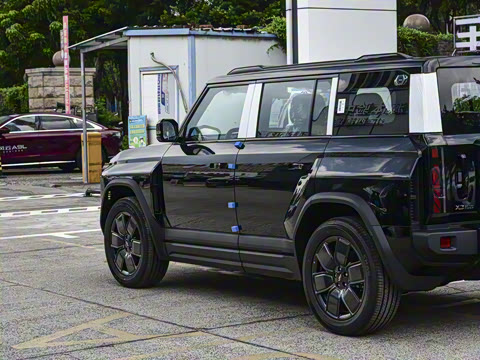 2025�� 501���������