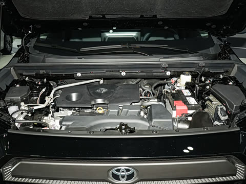 2026�� 2.0L ����������