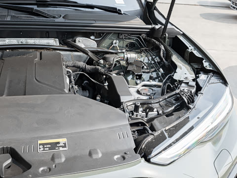 2026�� �ǻ�������