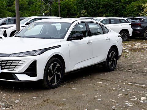 2026�� 1.5L �������� ������