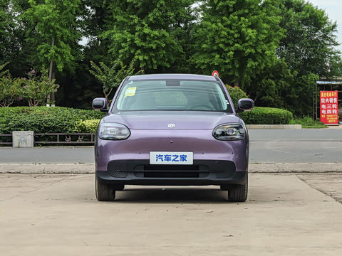 2026�� 310������