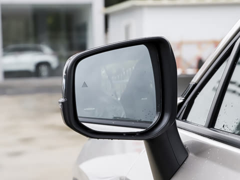 2026�� 2.0L ���ܵ��˫�� PRO