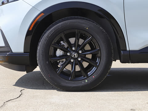 2026�� ȫ��30����ҫ�� 2.0L e:HEV ����������