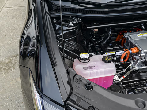 2026�� ������ JOY