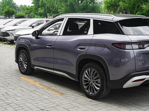 2026�� DM-i 205KM ��Խ��
