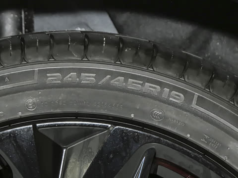 2025�� ����600�����˶���