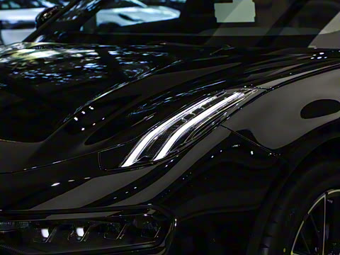 2026��   95������ Max��