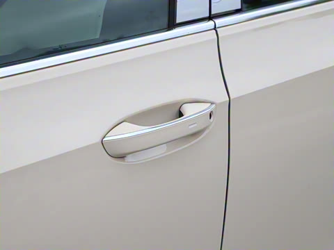 2025�� �Ŀ� 300TSI Pro