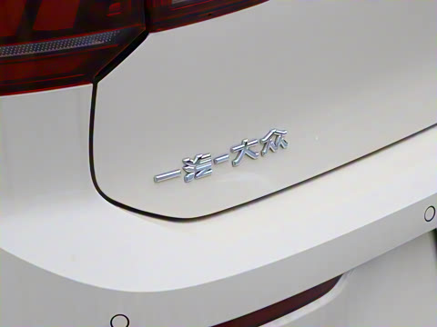 2025�� �Ŀ� 300TSI Pro