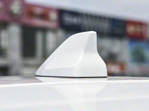 2025�� 290T ��������+