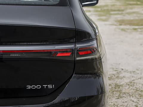 2026�� L 300TSI DSG ������