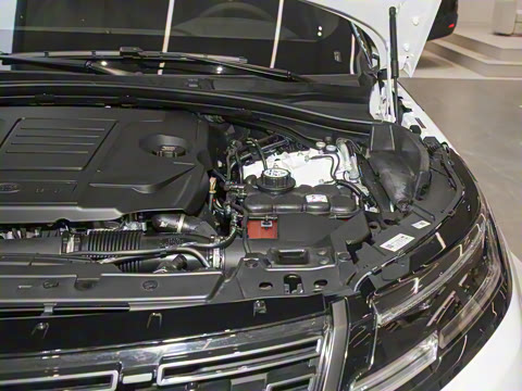 2026�� 250PS Dynamic SE