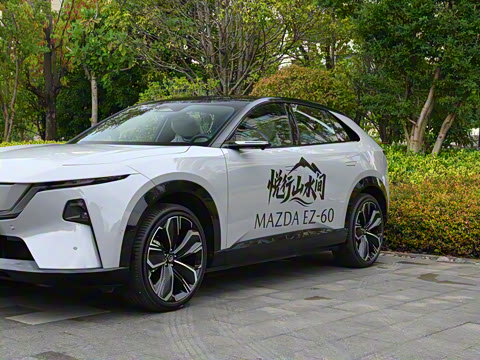 2025�� ����600 Max