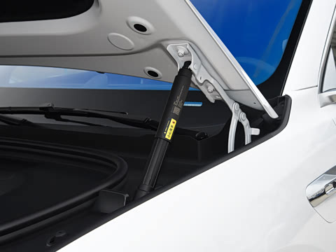 2025�� ���� Max+ ���������� 