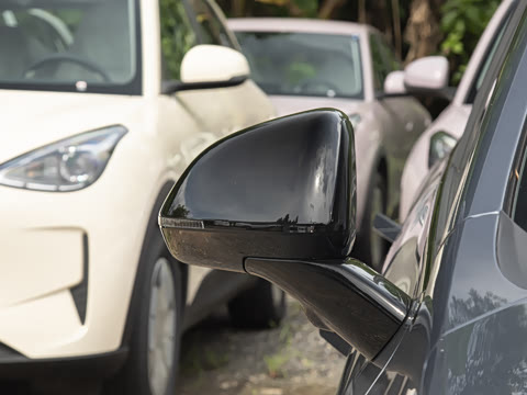 2026�� 520�Ǻ���