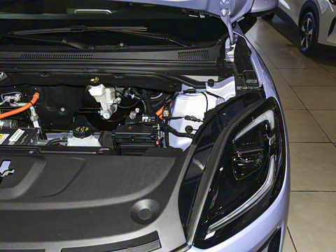 2025�� 325km �콢��