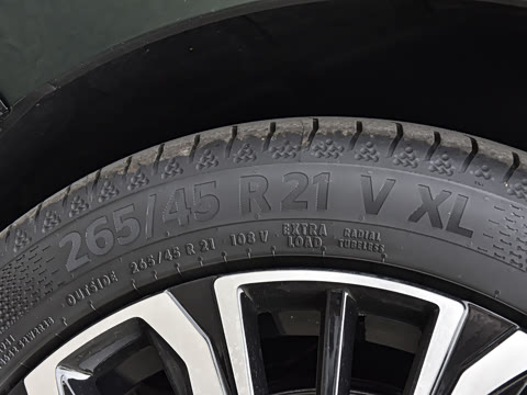 2026�� �������̼�����