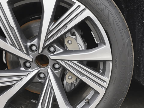 2026�� ����������