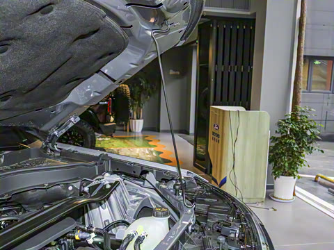 2025�� 2.3T EcoBoost ���ش�Խ�� 5��