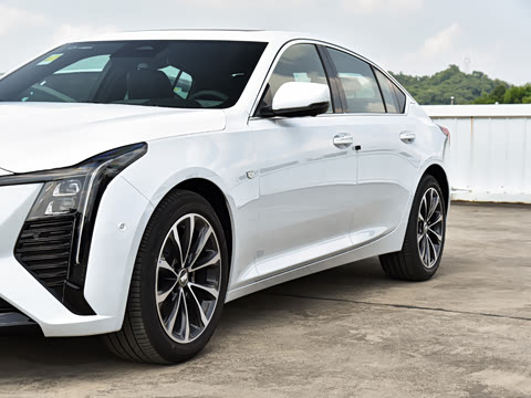 2025�� 28T �����˶���