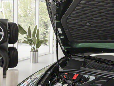 2026�� 4.0T V8 ������ŶȰ�