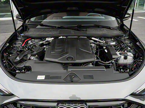 2026�� 2.0T �˶��� Plus