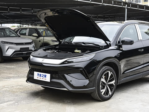 2026�� DM-i 220KM��Խ��