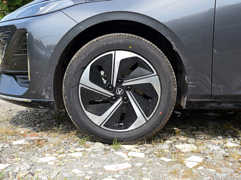 2026�� 1.5L �������� ������