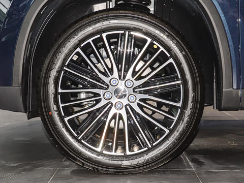 2025�� 300T ������ҹ��