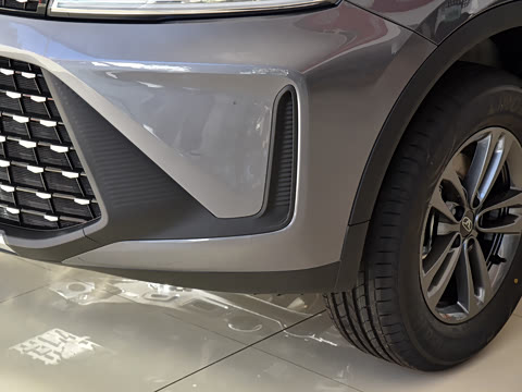 2025�� 1.5L �ֶ���Խ��