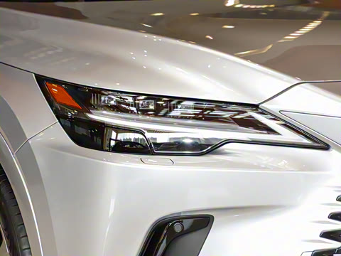 2025�� 350h ����������