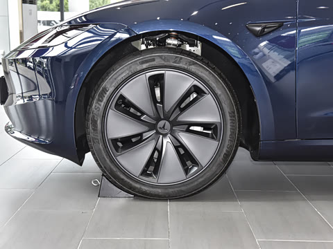2025�� �Ŀ� ����������
