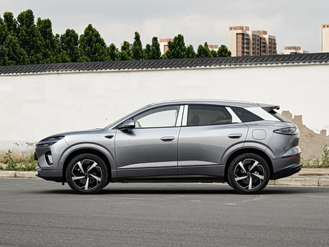 2026�� DM-i 310�콢��