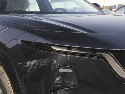 2026�� ����600 Pro