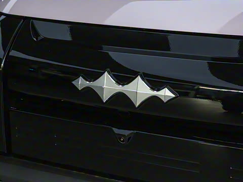 2025�� 501KM ����Max��