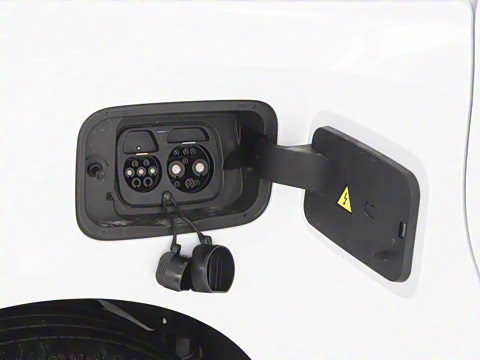 2026�� ���̰� 230������ 7��