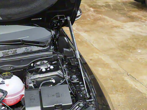 2026�� �׽�ά�ǰ�