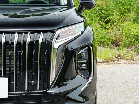 2025�� 2.0T PHEV ����200��������� 6�� 