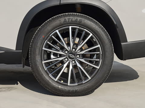 2026�� 290TGDI DCT������ 5��