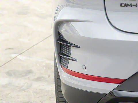 2025�� �Ǽݰ� DM-i 175KM �����